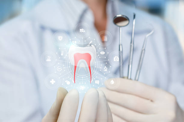 Best Dental Fillings (Composite and Amalgam)  in Zephyrhills, FL