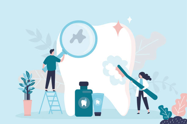 Best Dental Exams and Cleanings  in Zephyrhills, FL